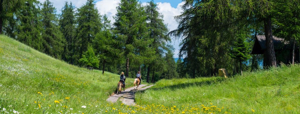 Camping & Chalet Natur Idyll Salten | San Genesio Above Bolzano